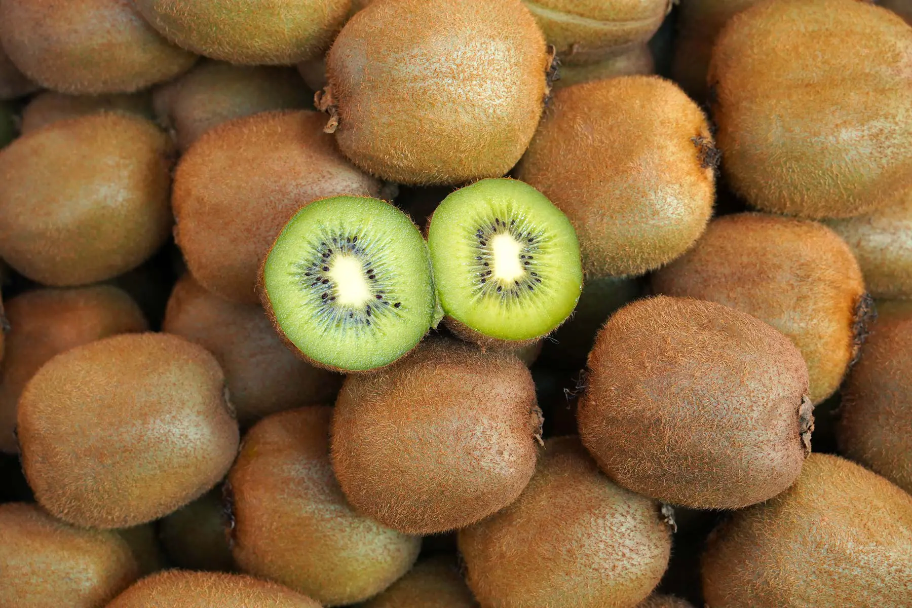 huertos-monteserrat-kiwis