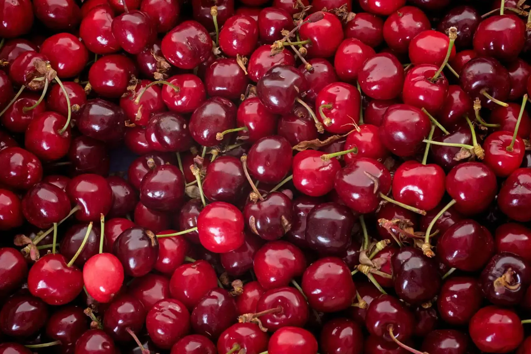 huertos-monteserrat-cerezas