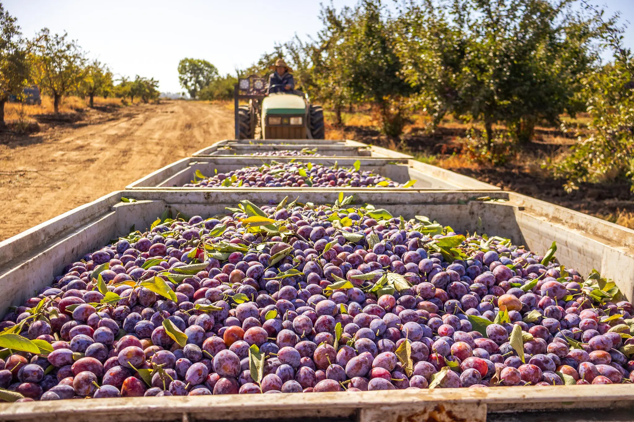 fotografia_huertos_montserrat_03