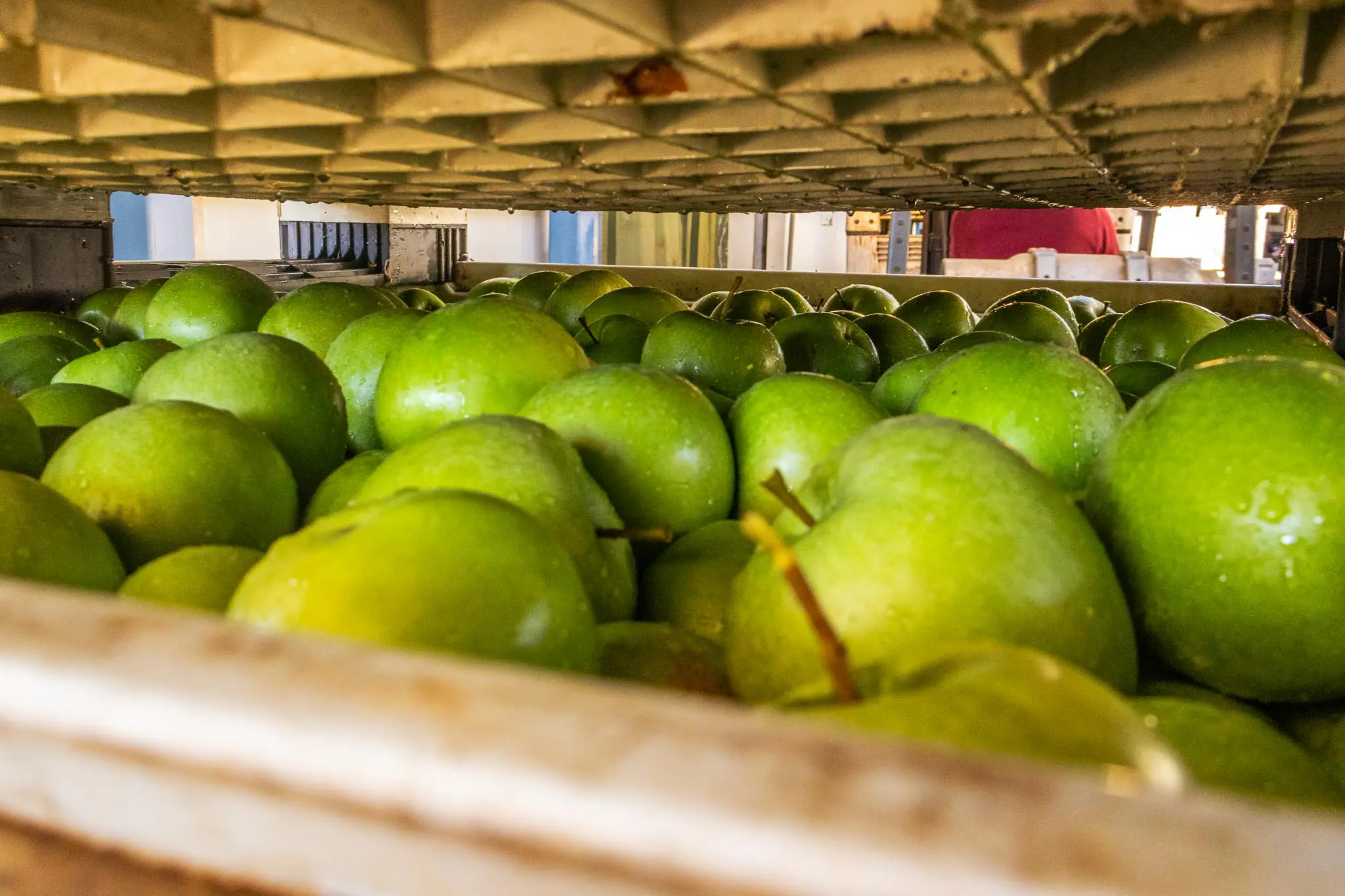 fotografia_huertos_montserrat_67