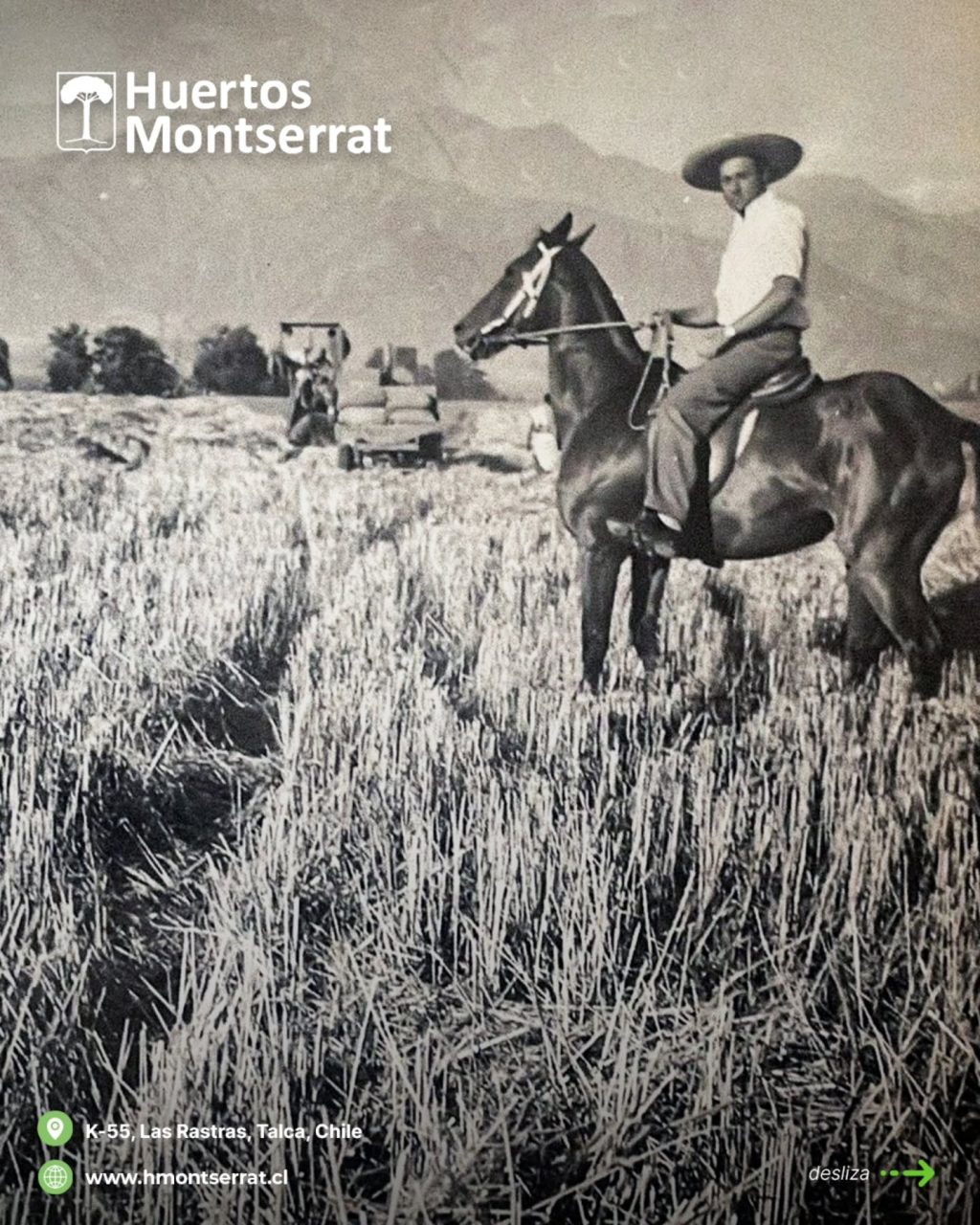 Instagram post from huertos_montserrat. This post is in position 3.