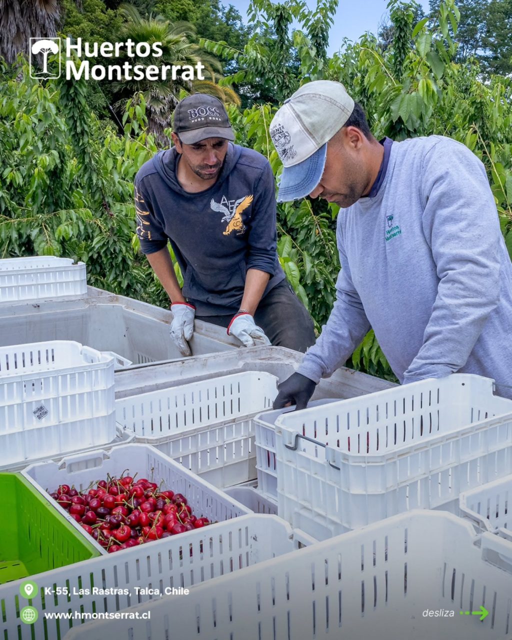 Instagram post from huertos_montserrat. This post is in position 1.