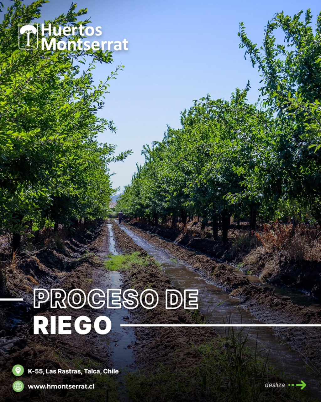 Instagram post from huertos_montserrat. This post is in position 0.