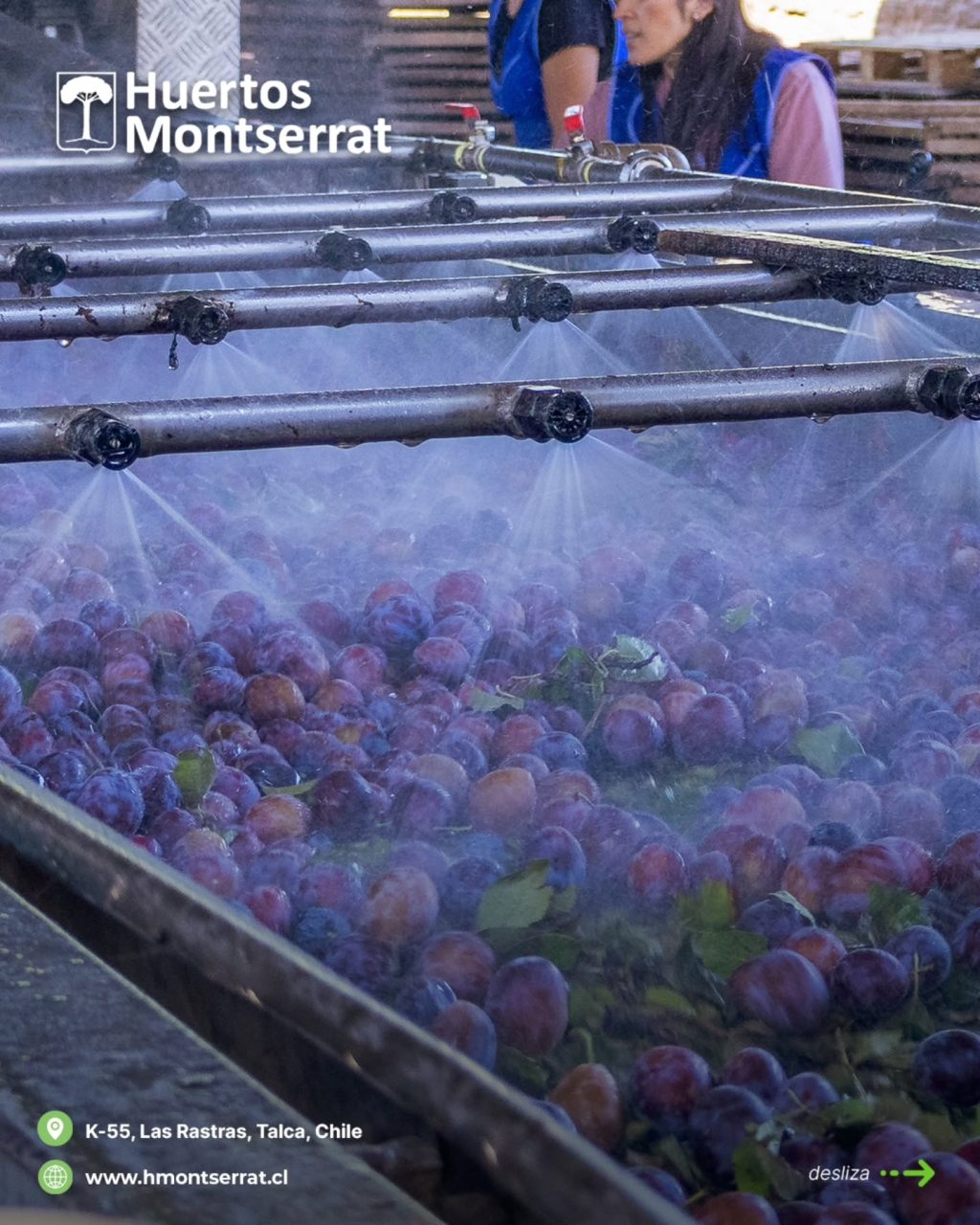 Instagram post from huertos_montserrat. This post is in position 2.