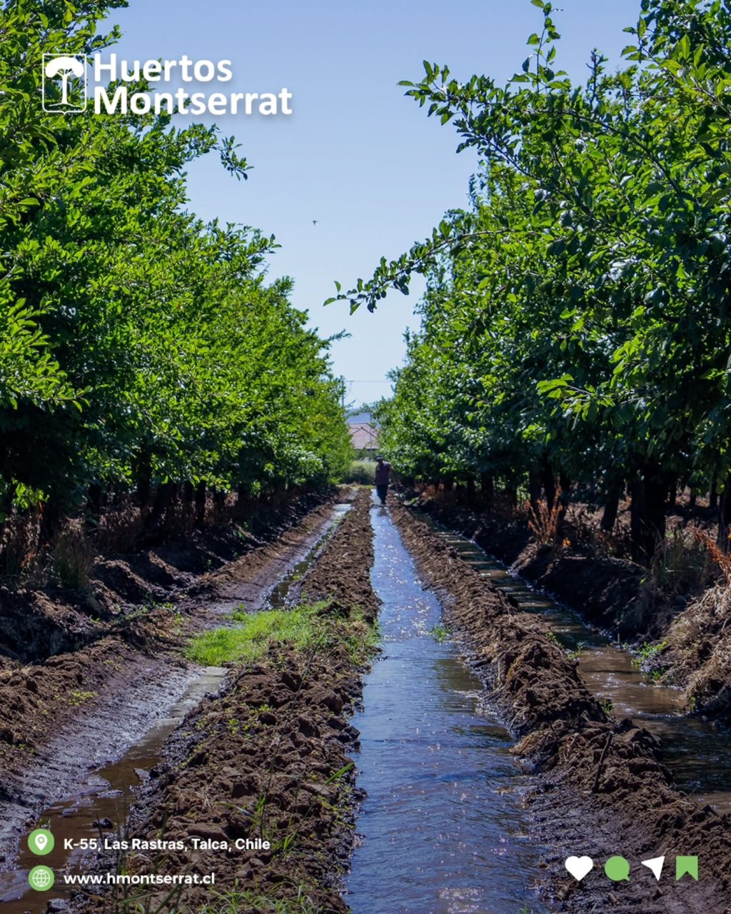 Instagram post from huertos_montserrat. This post is in position 2.