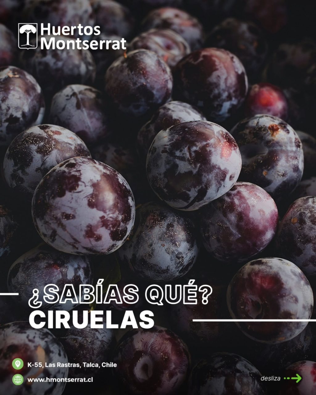 Instagram post from huertos_montserrat. This post is in position 3.