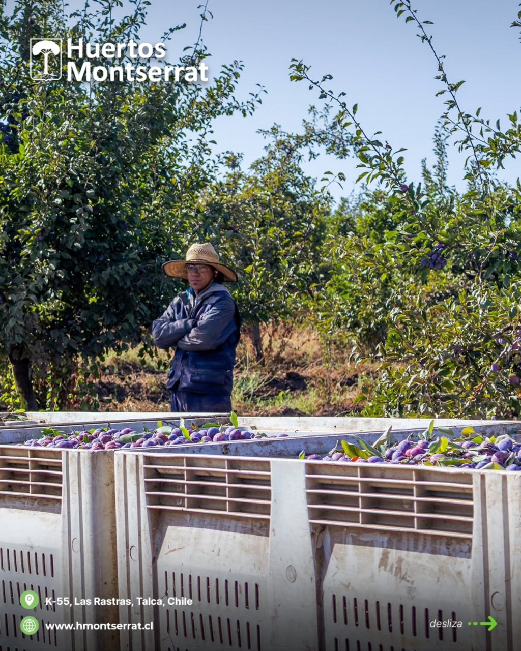 Instagram post from huertos_montserrat. This post is in position 4.