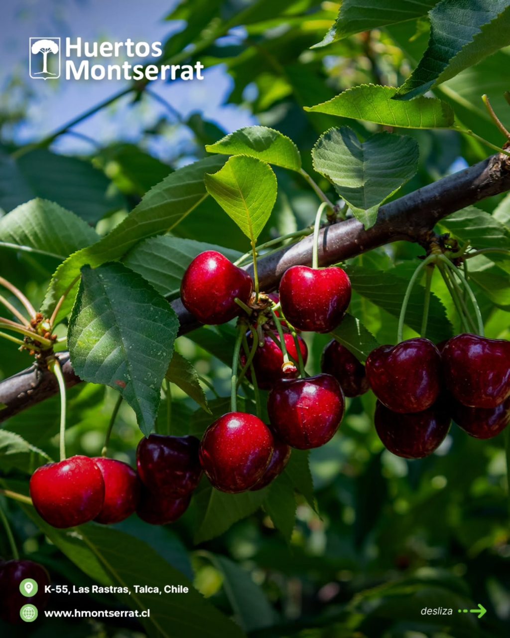 Instagram post from huertos_montserrat. This post is in position 0.