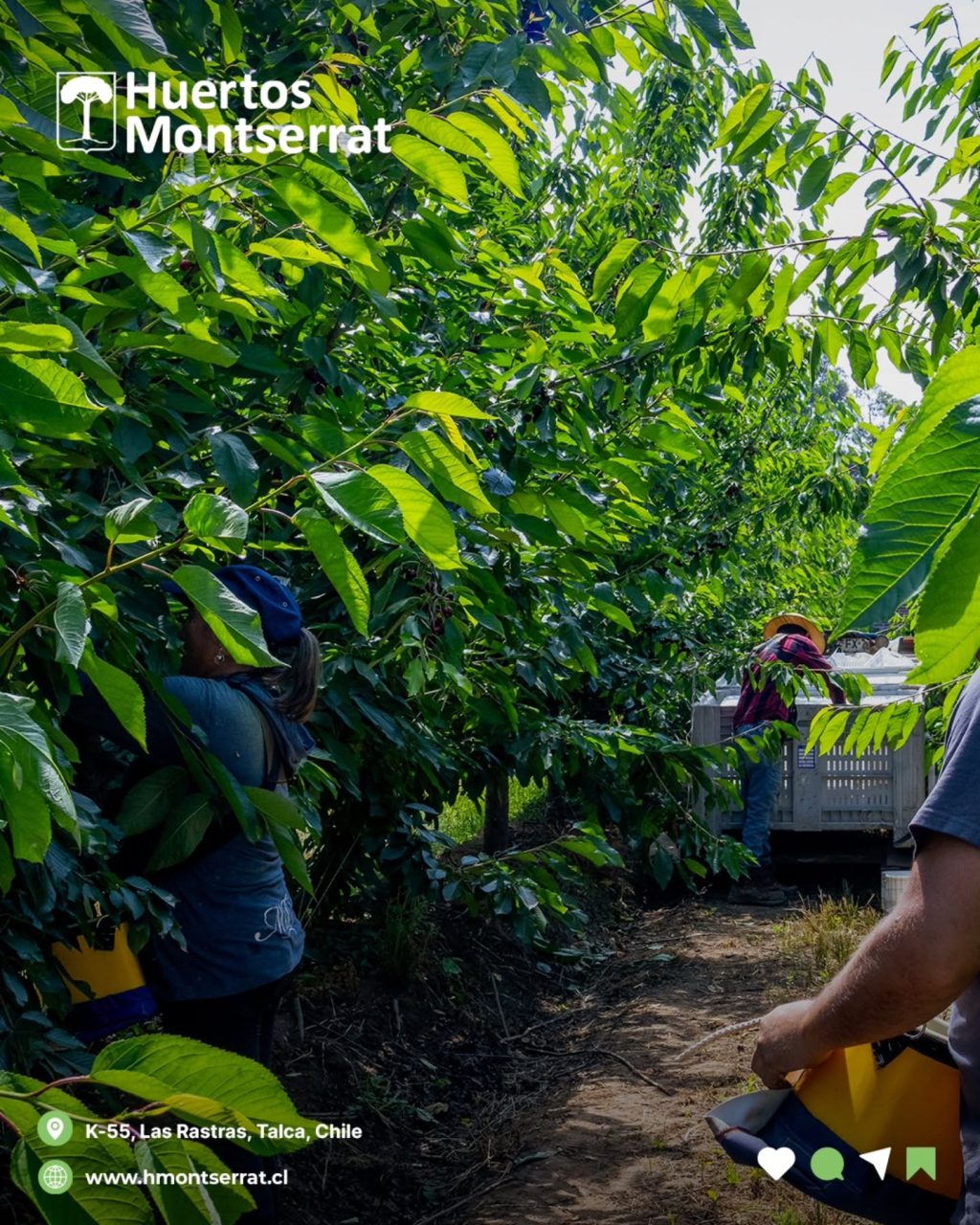 Instagram post from huertos_montserrat. This post is in position 13.