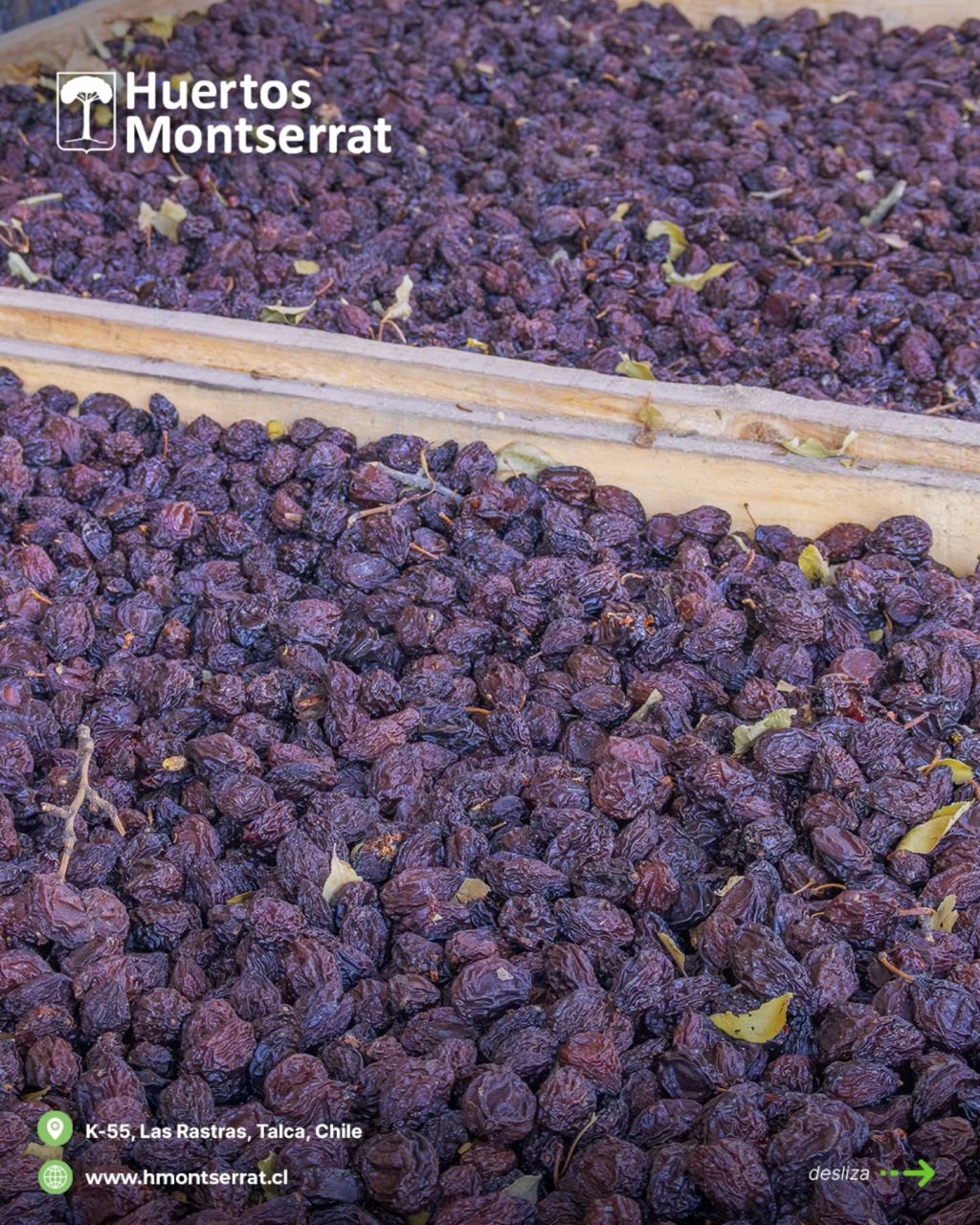 Instagram post from huertos_montserrat. This post is in position 2.