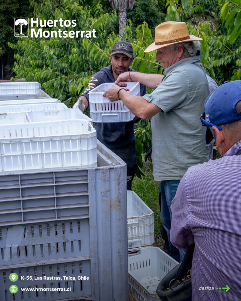 Instagram post from huertos_montserrat. This post is in position 2.