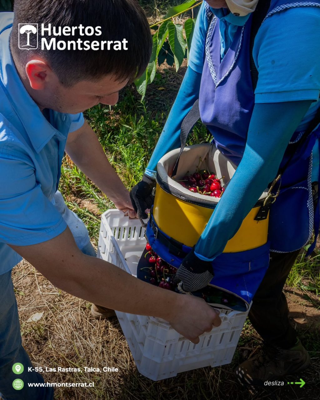 Instagram post from huertos_montserrat. This post is in position 7.