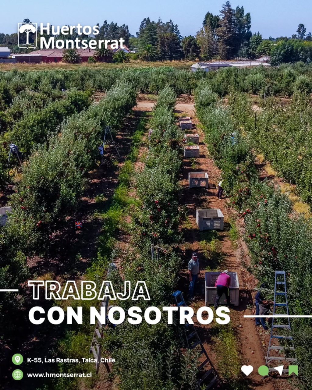 Instagram post from huertos_montserrat. This post is in position 1.