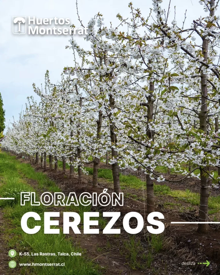 Instagram post from huertos_montserrat. This post is in position 3.