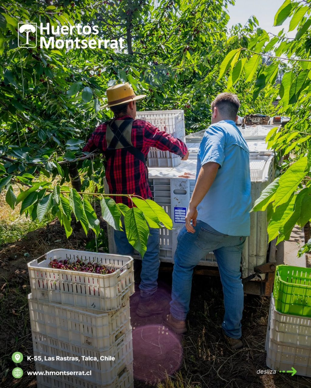 Instagram post from huertos_montserrat. This post is in position 8.