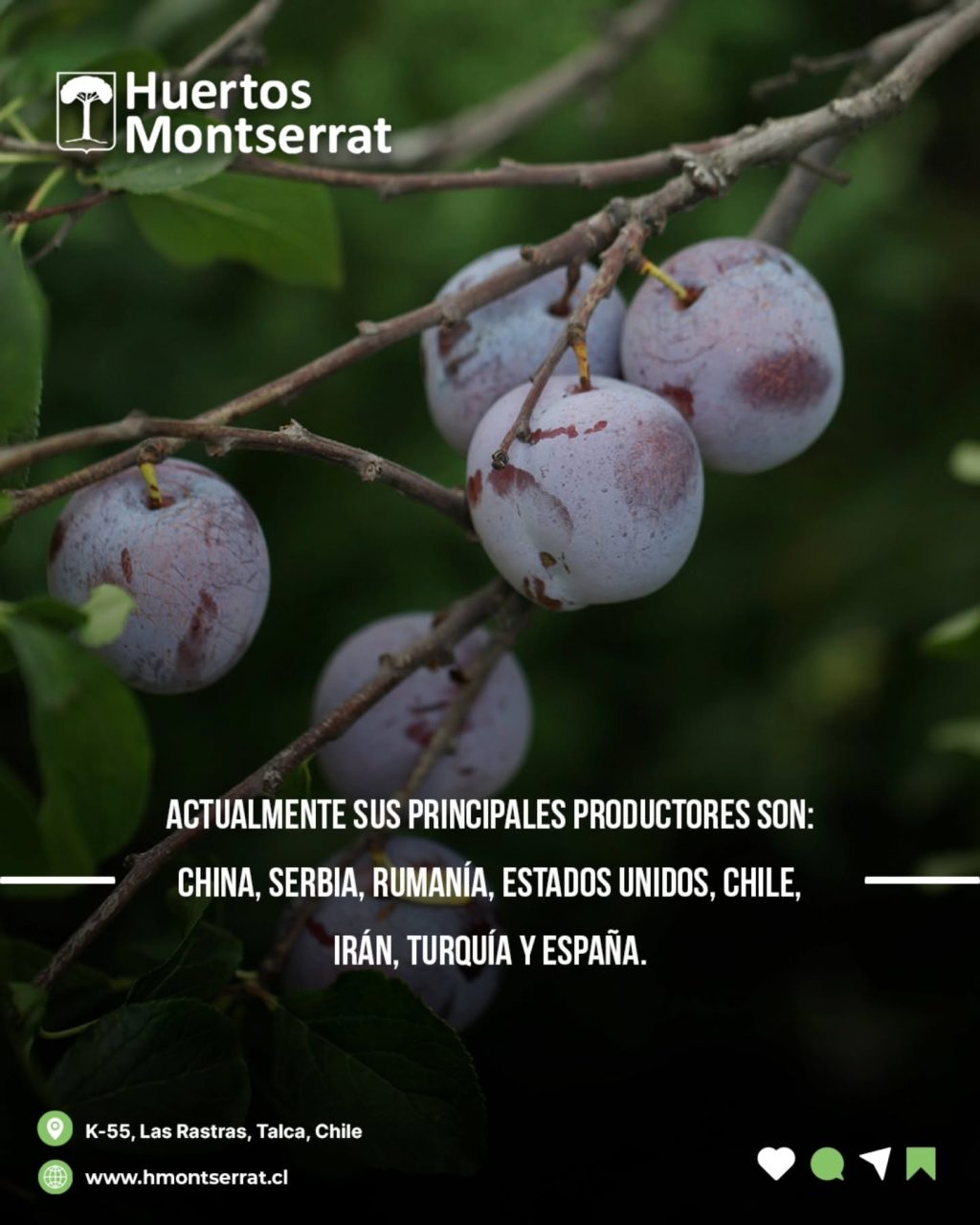 Instagram post from huertos_montserrat. This post is in position 2.