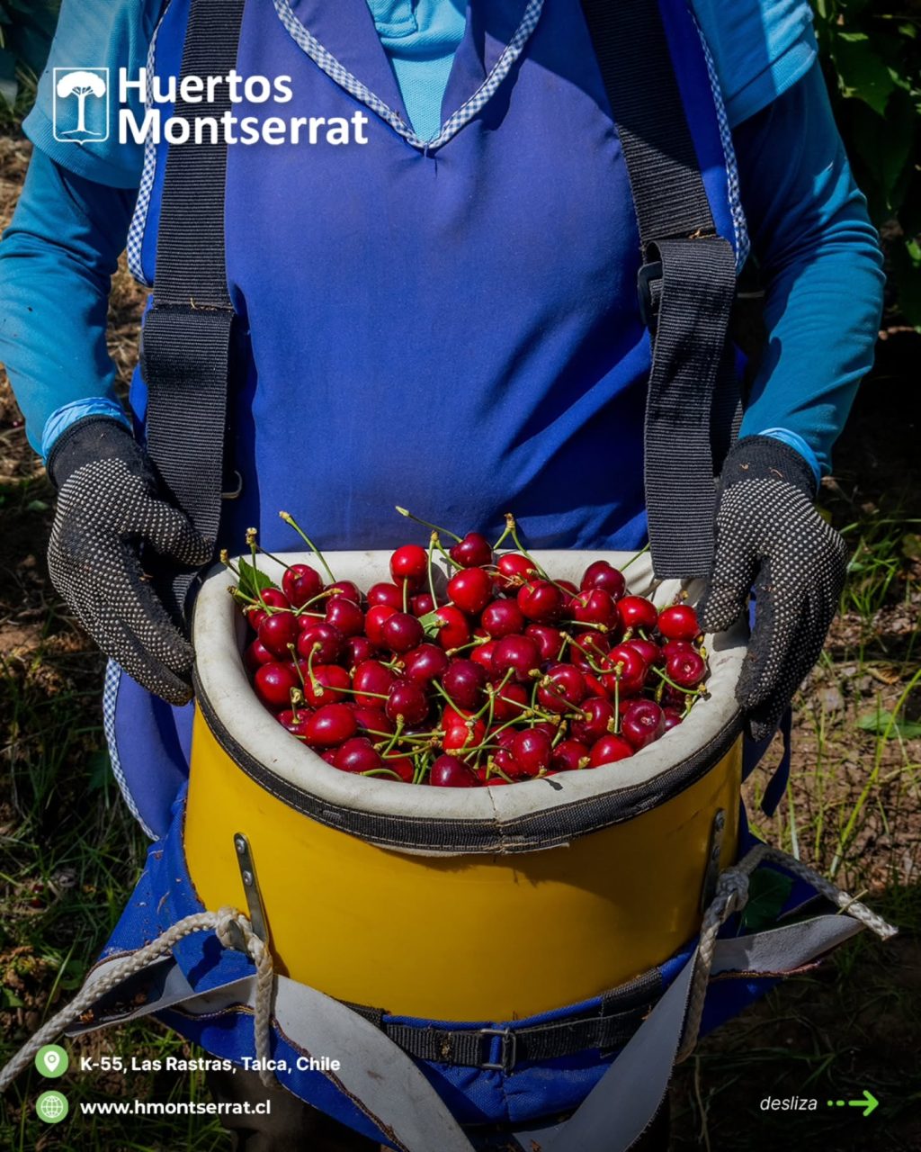 Instagram post from huertos_montserrat. This post is in position 4.