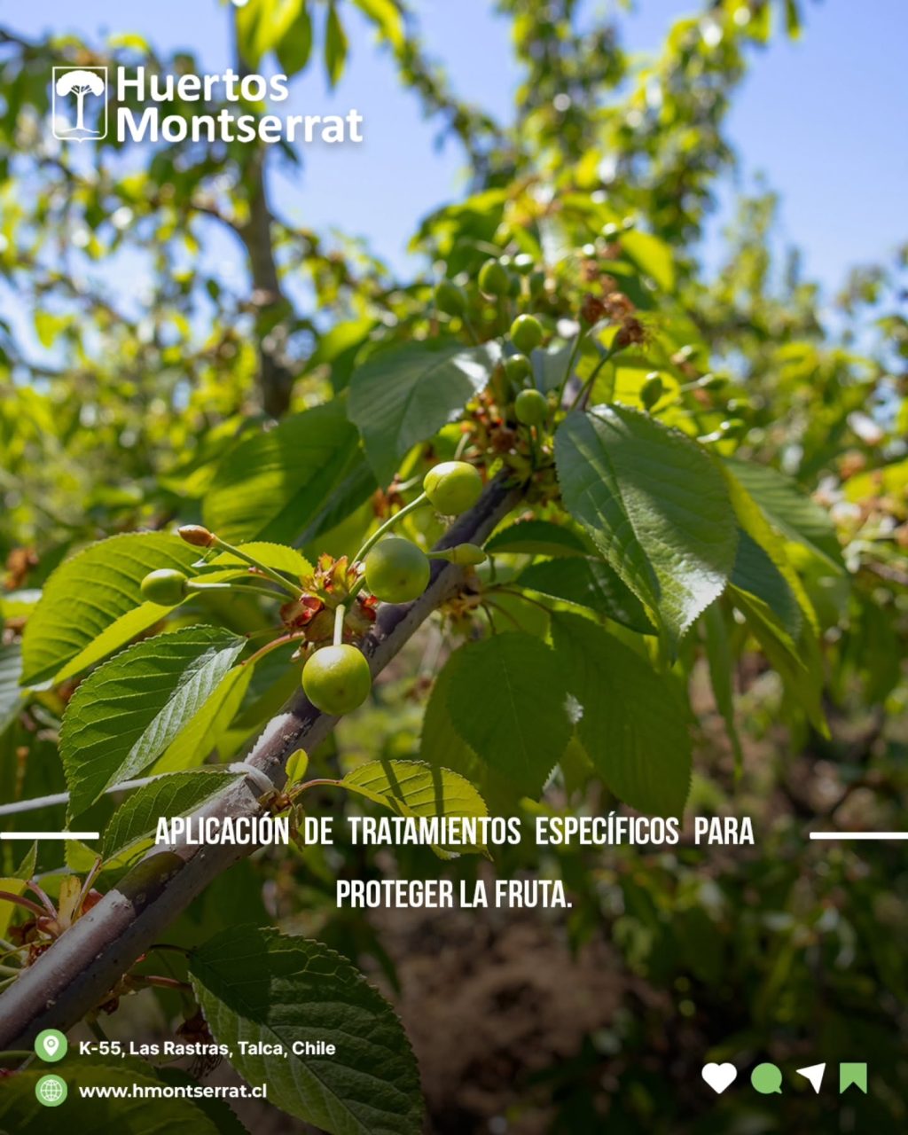 Instagram post from huertos_montserrat. This post is in position 3.