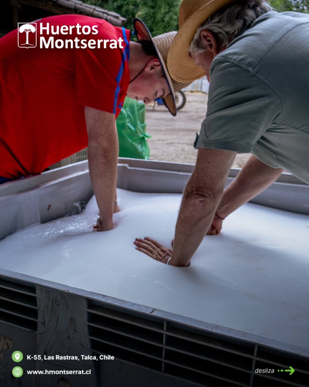 Instagram post from huertos_montserrat. This post is in position 4.