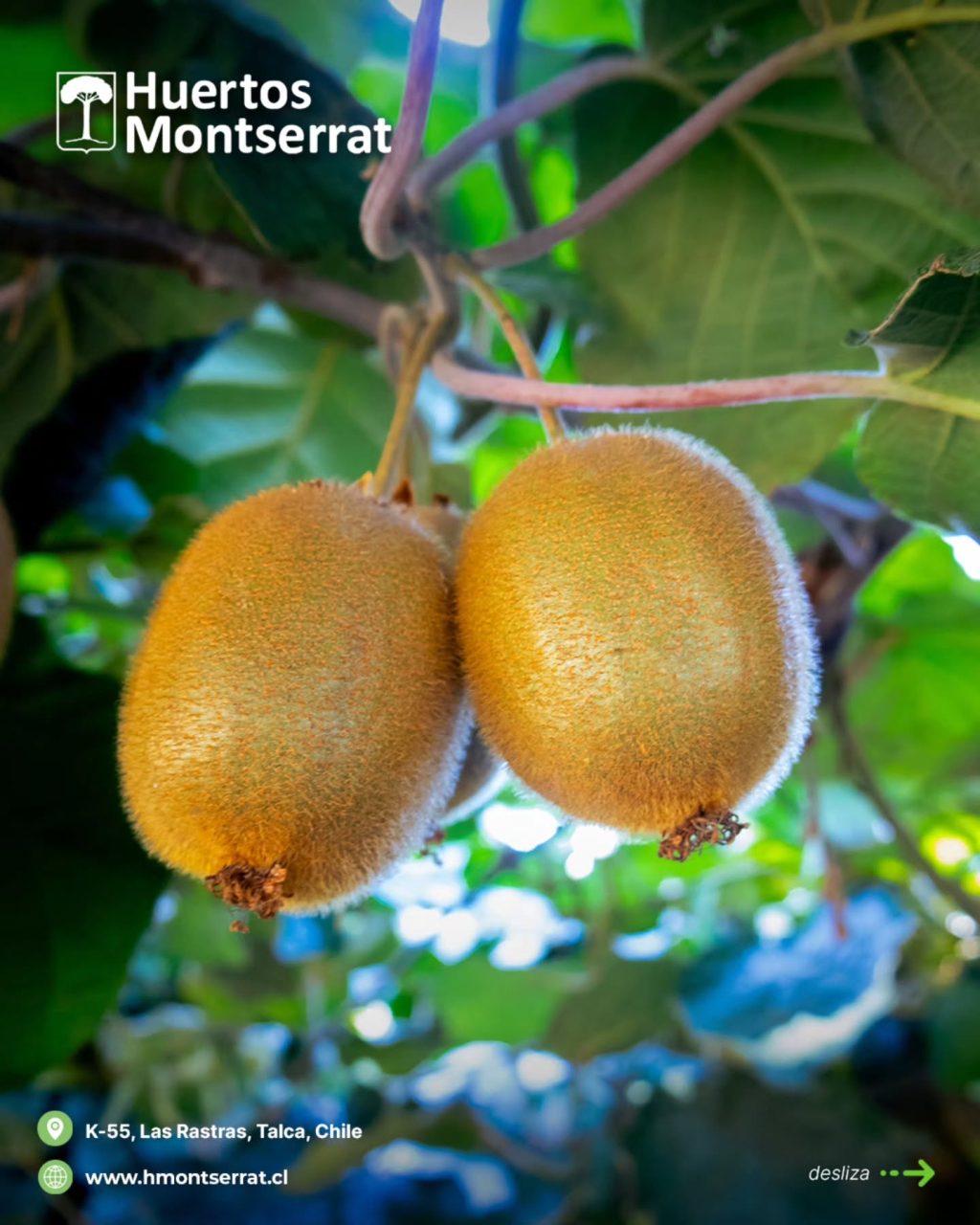 Instagram post from huertos_montserrat. This post is in position 0.