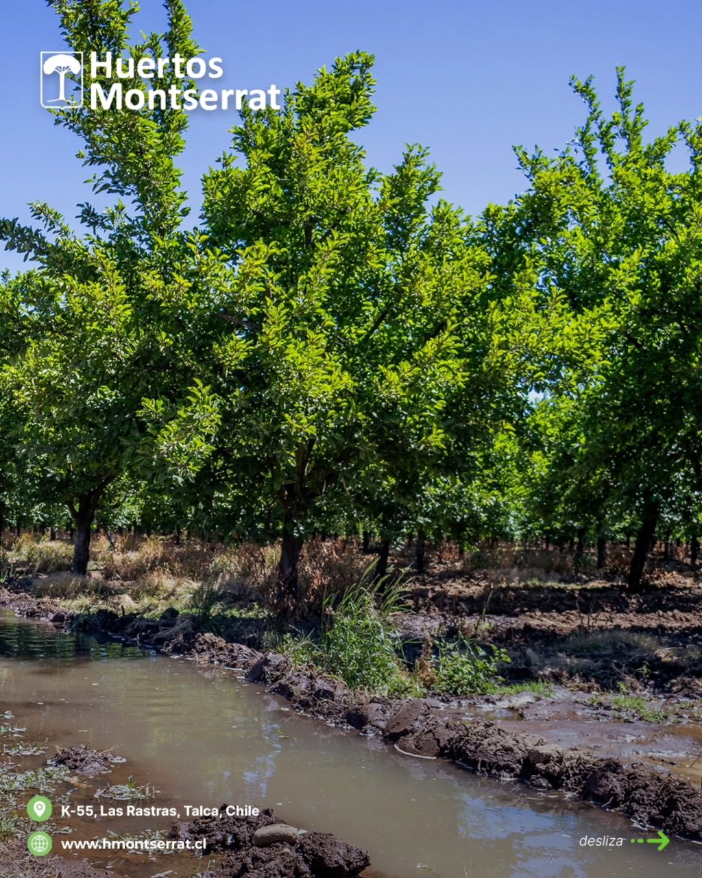 Instagram post from huertos_montserrat. This post is in position 1.