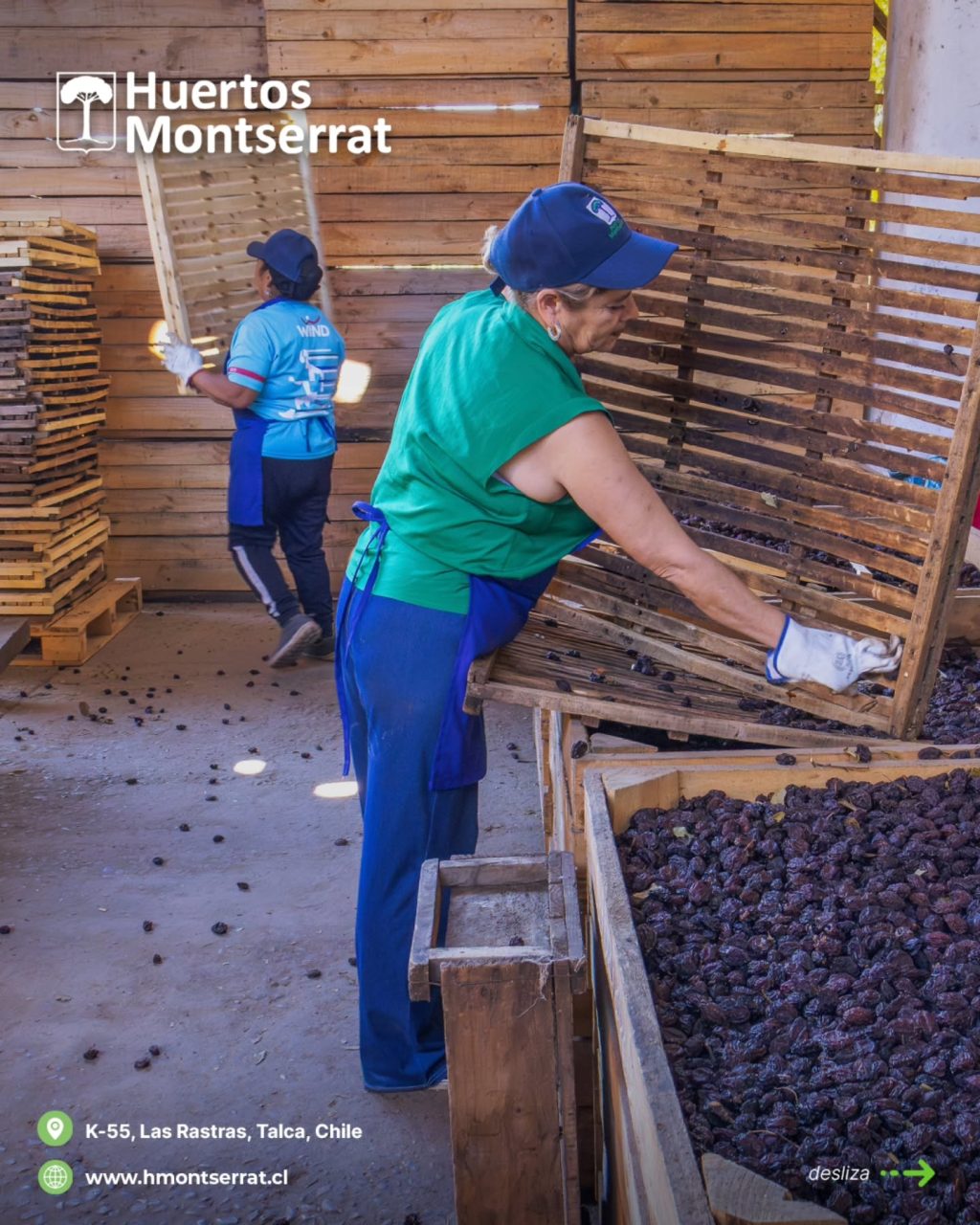 Instagram post from huertos_montserrat. This post is in position 1.