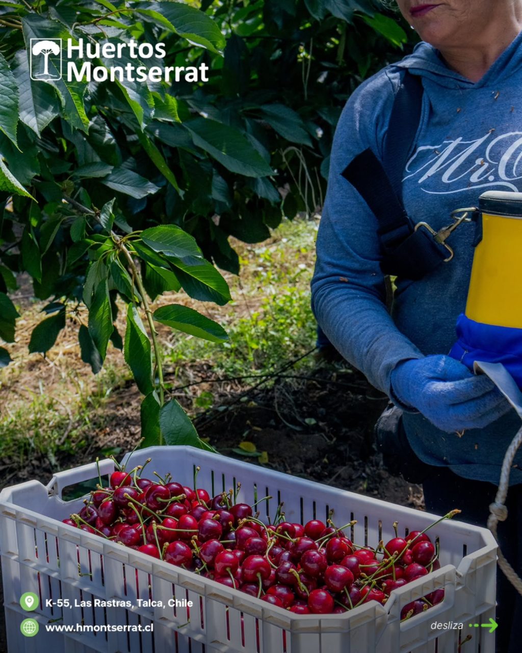 Instagram post from huertos_montserrat. This post is in position 2.