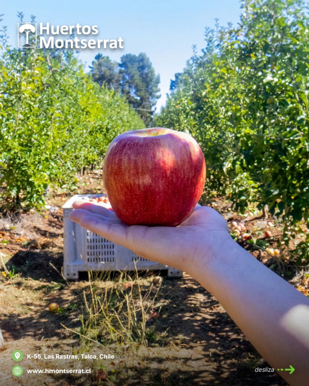 Instagram post from huertos_montserrat. This post is in position 2.