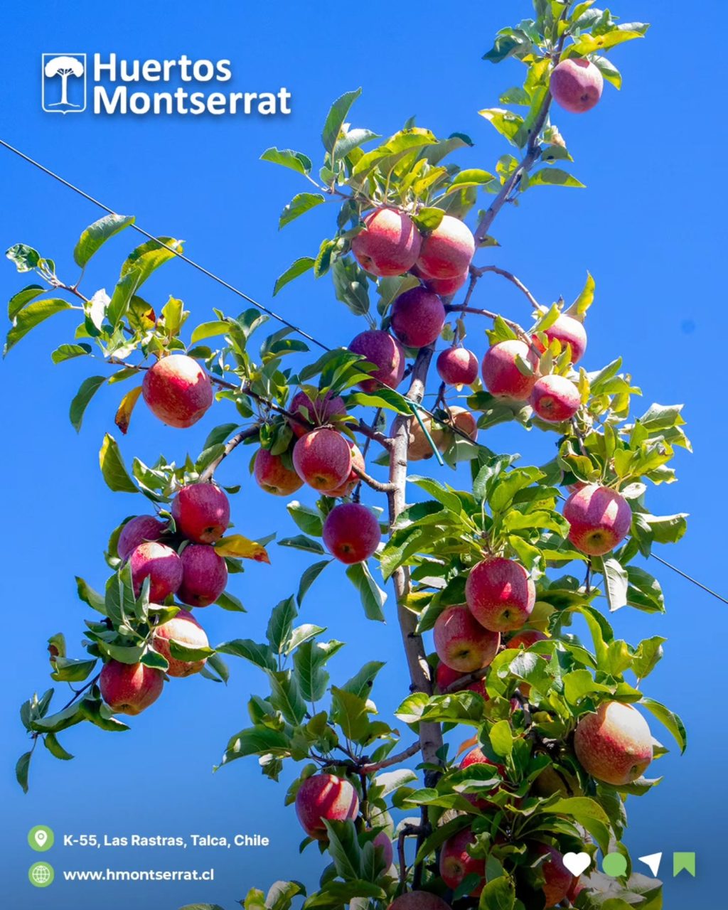 Instagram post from huertos_montserrat. This post is in position 3.