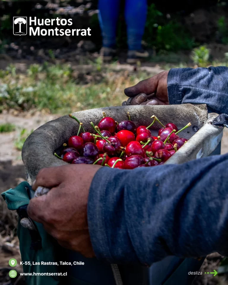 Instagram post from huertos_montserrat. This post is in position 3.