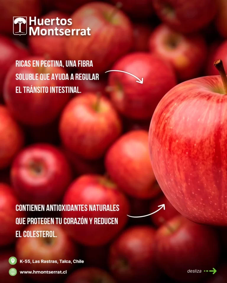 Instagram post from huertos_montserrat. This post is in position 1.