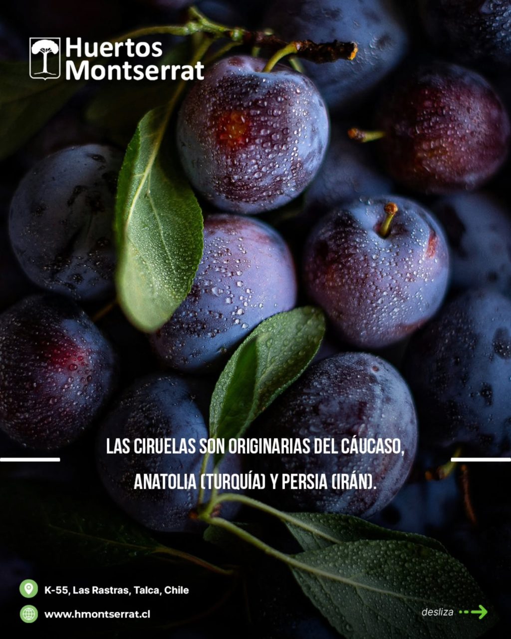 Instagram post from huertos_montserrat. This post is in position 1.