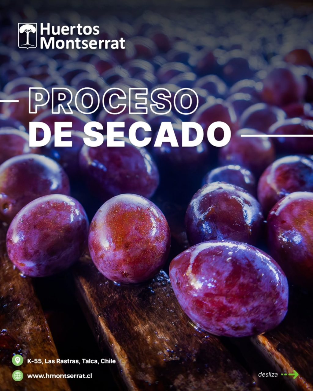 Instagram post from huertos_montserrat. This post is in position 3.