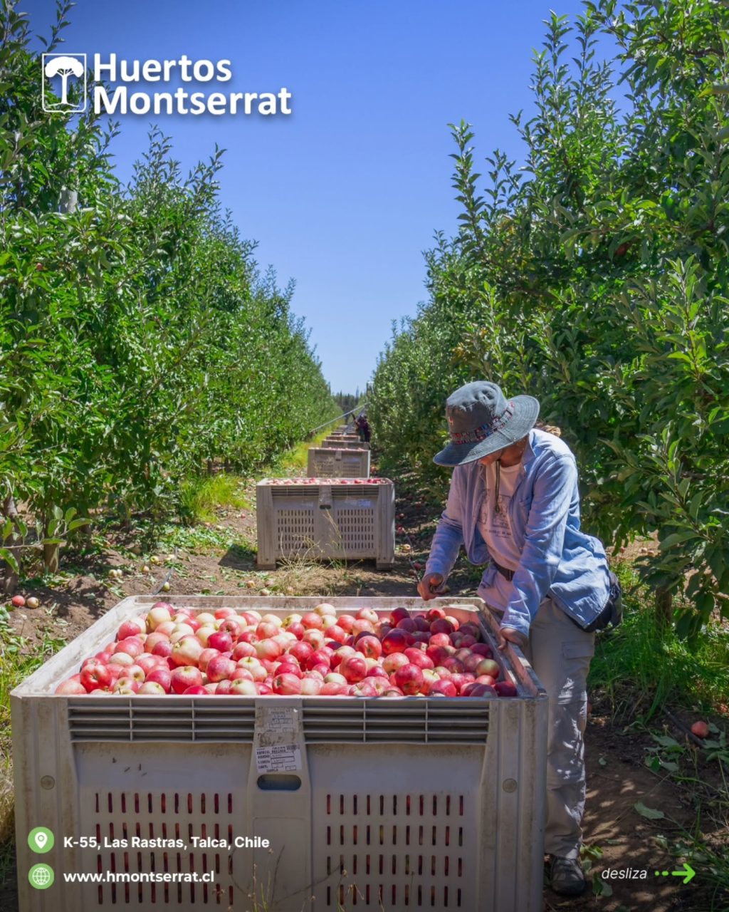 Instagram post from huertos_montserrat. This post is in position 1.