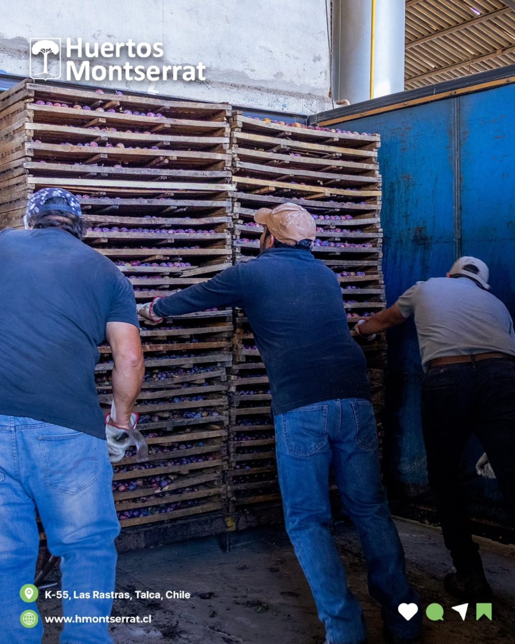 Instagram post from huertos_montserrat. This post is in position 6.