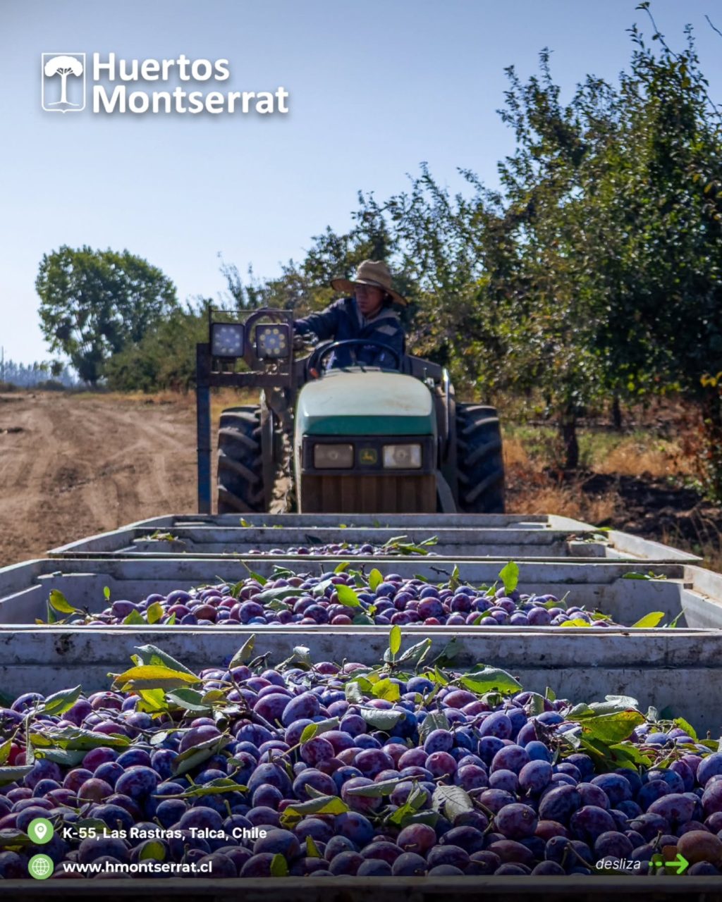 Instagram post from huertos_montserrat. This post is in position 1.