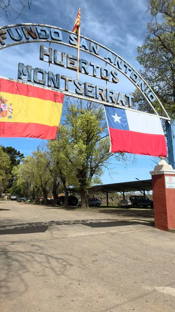 Instagram post from huertos_montserrat. This post is in position 3.