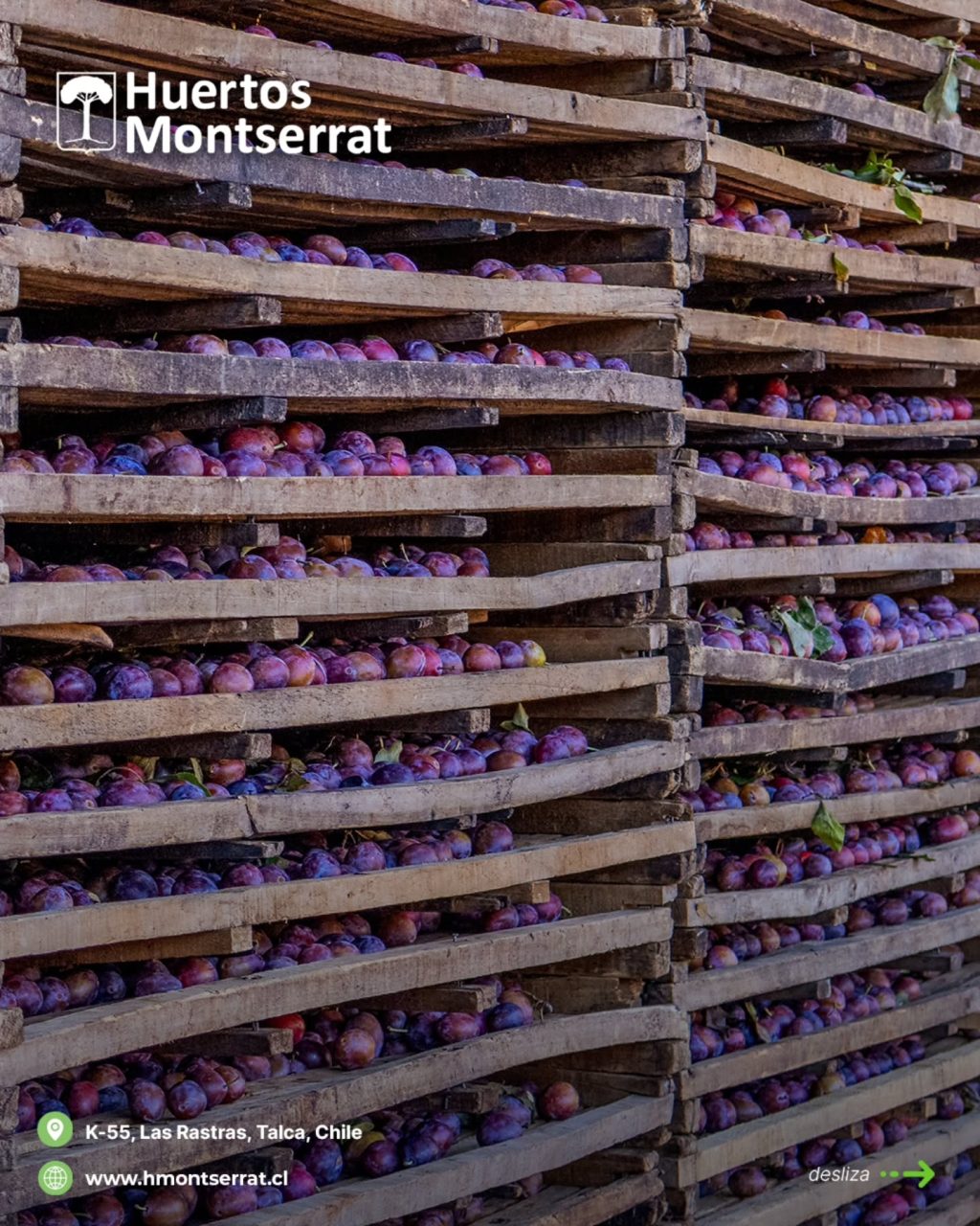 Instagram post from huertos_montserrat. This post is in position 5.