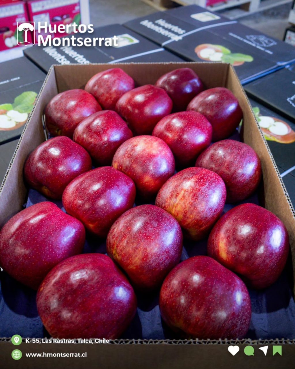 Instagram post from huertos_montserrat. This post is in position 3.