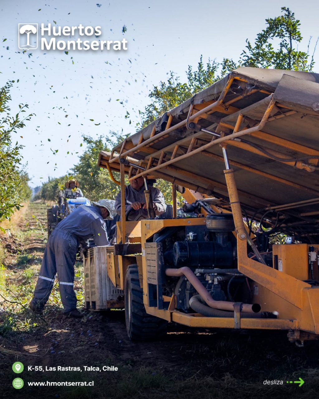 Instagram post from huertos_montserrat. This post is in position 3.