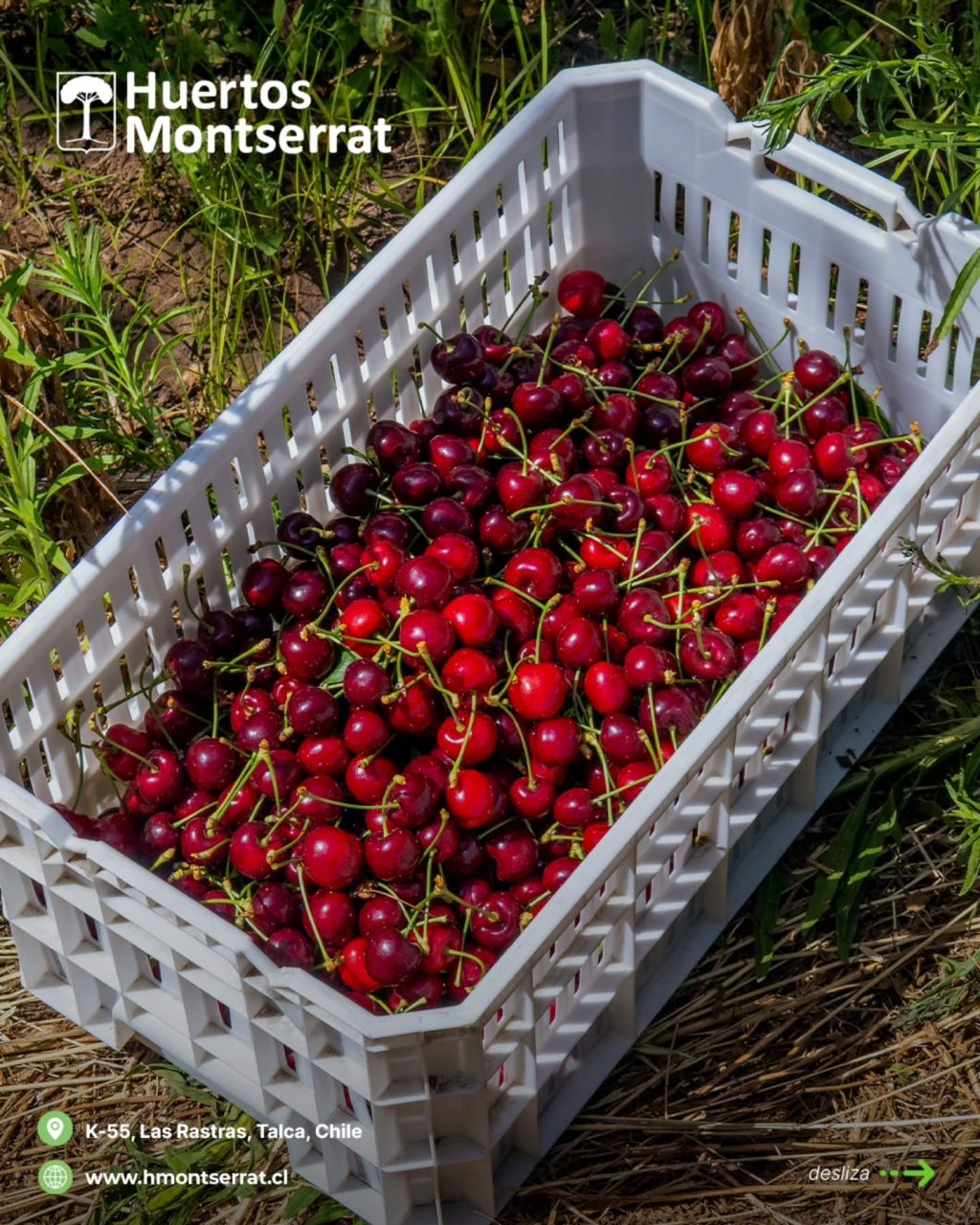 Instagram post from huertos_montserrat. This post is in position 5.