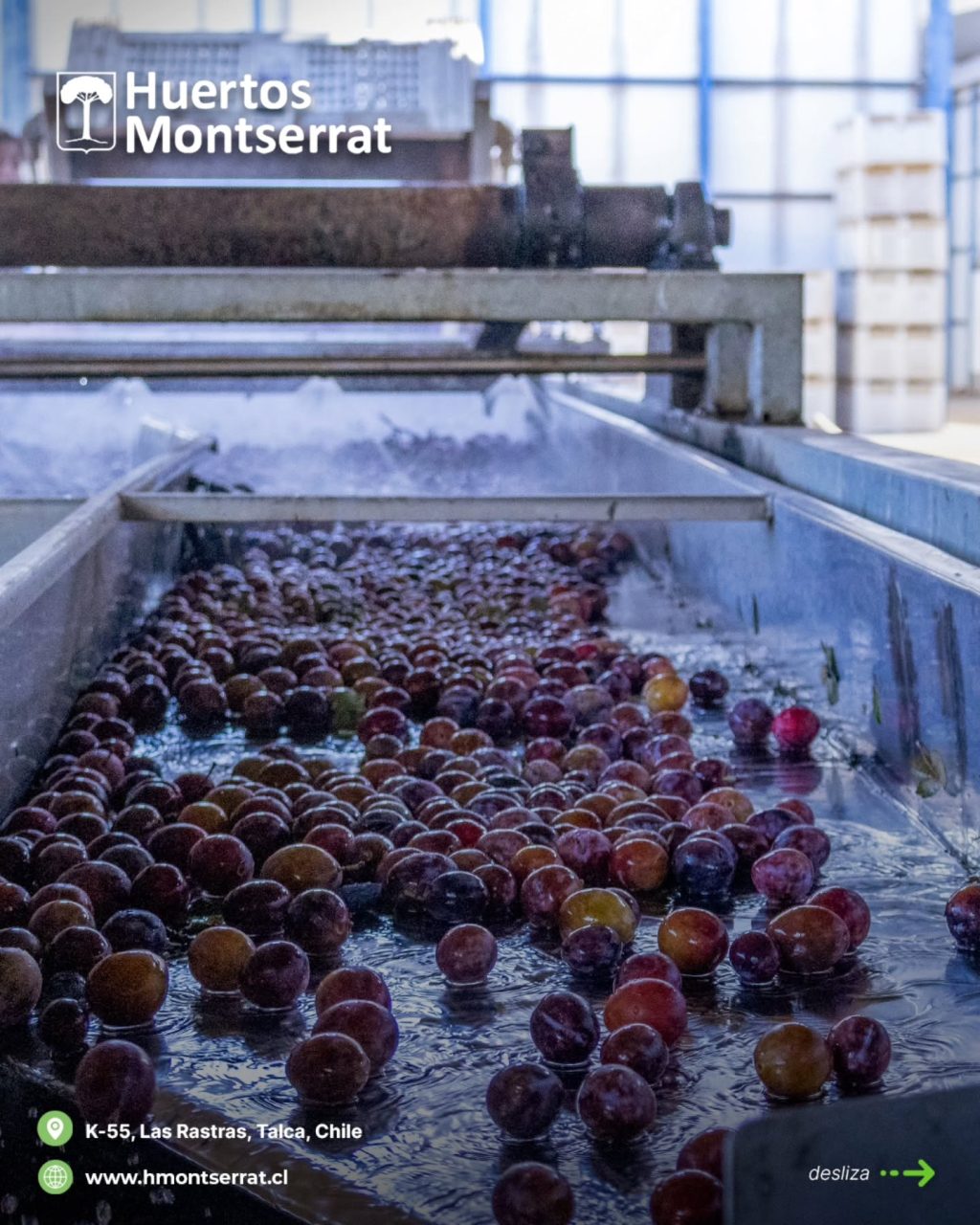 Instagram post from huertos_montserrat. This post is in position 1.