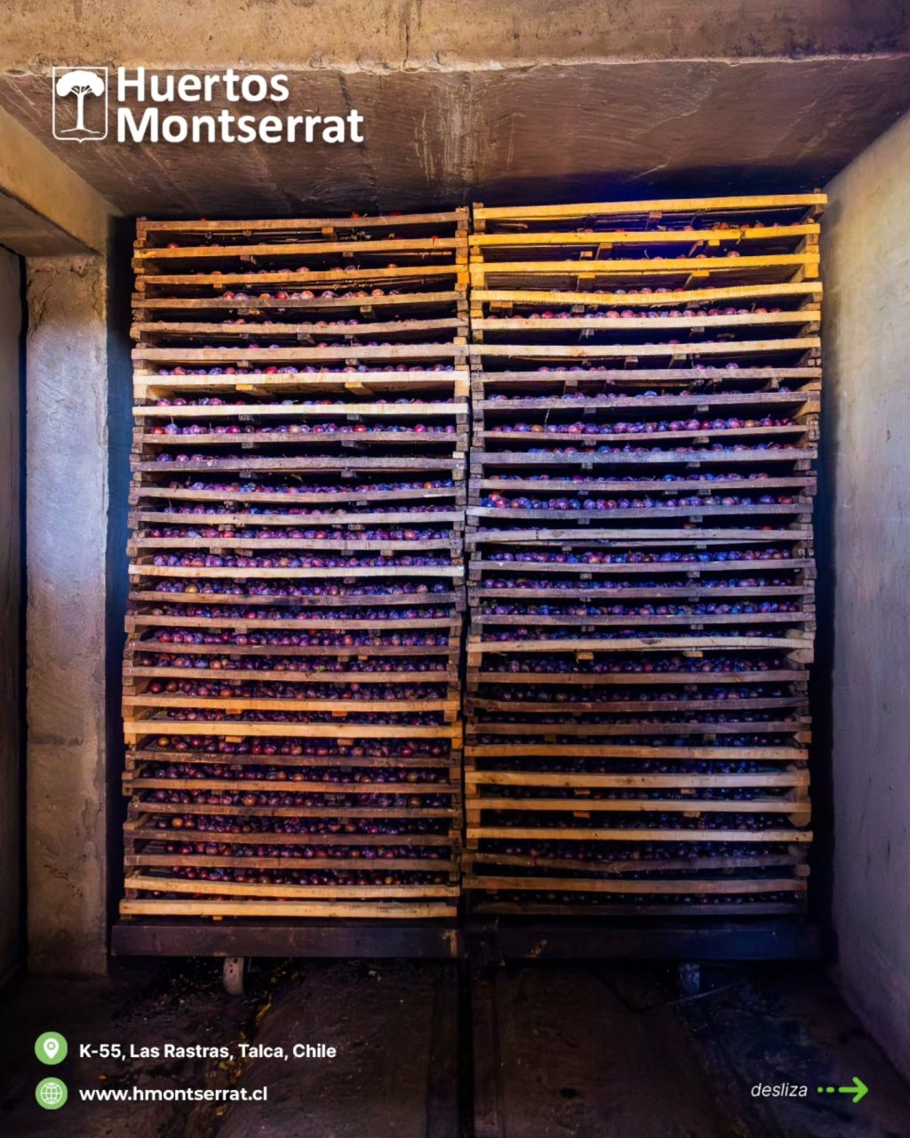 Instagram post from huertos_montserrat. This post is in position 2.