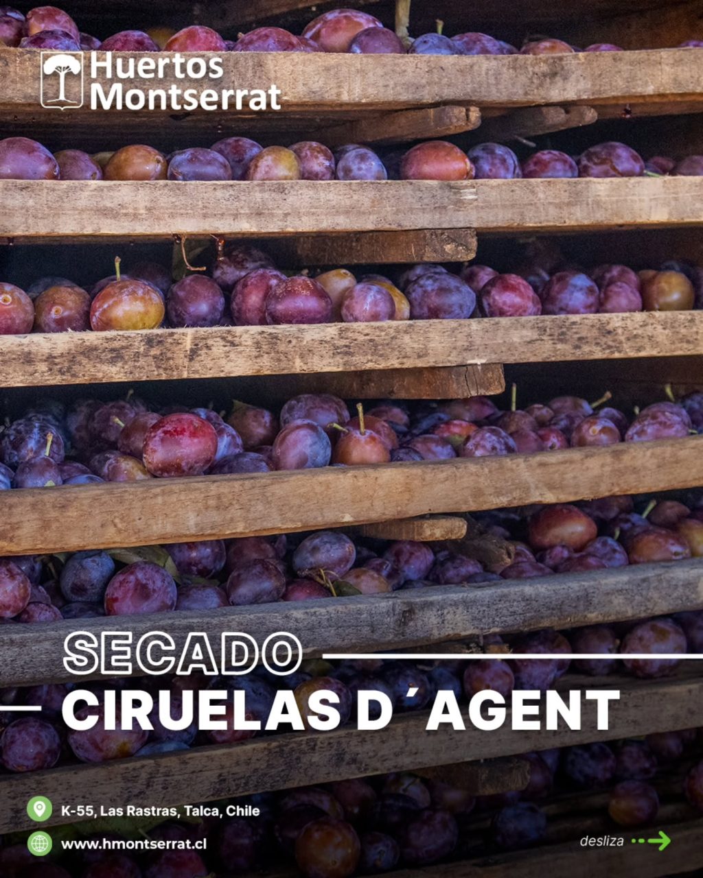 Instagram post from huertos_montserrat. This post is in position 2.