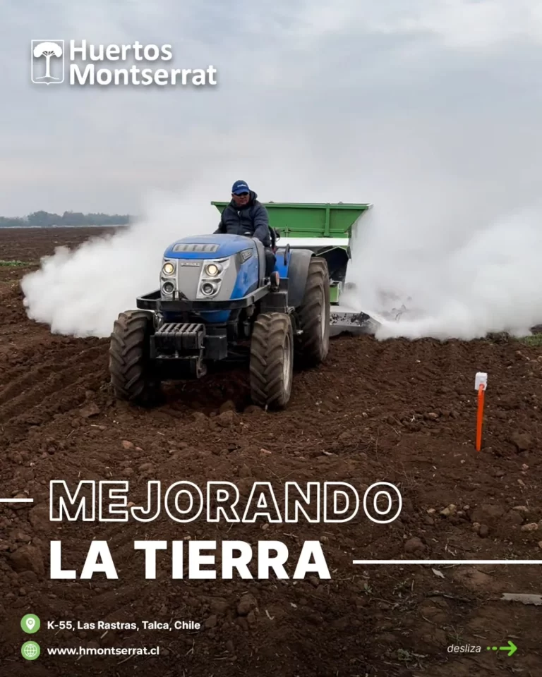 Instagram post from huertos_montserrat. This post is in position 1.