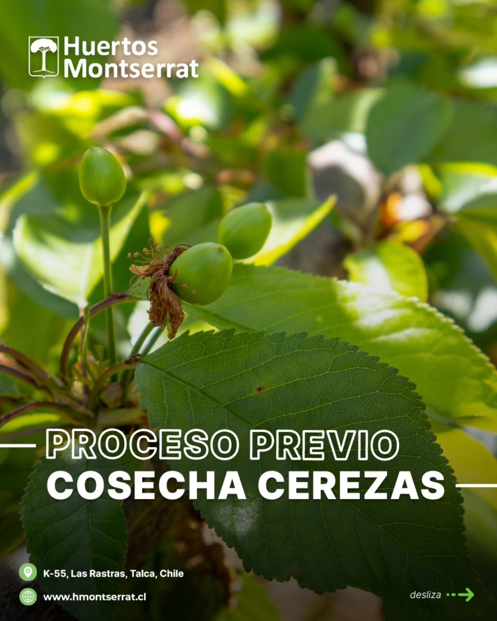 Instagram post from huertos_montserrat. This post is in position 2.