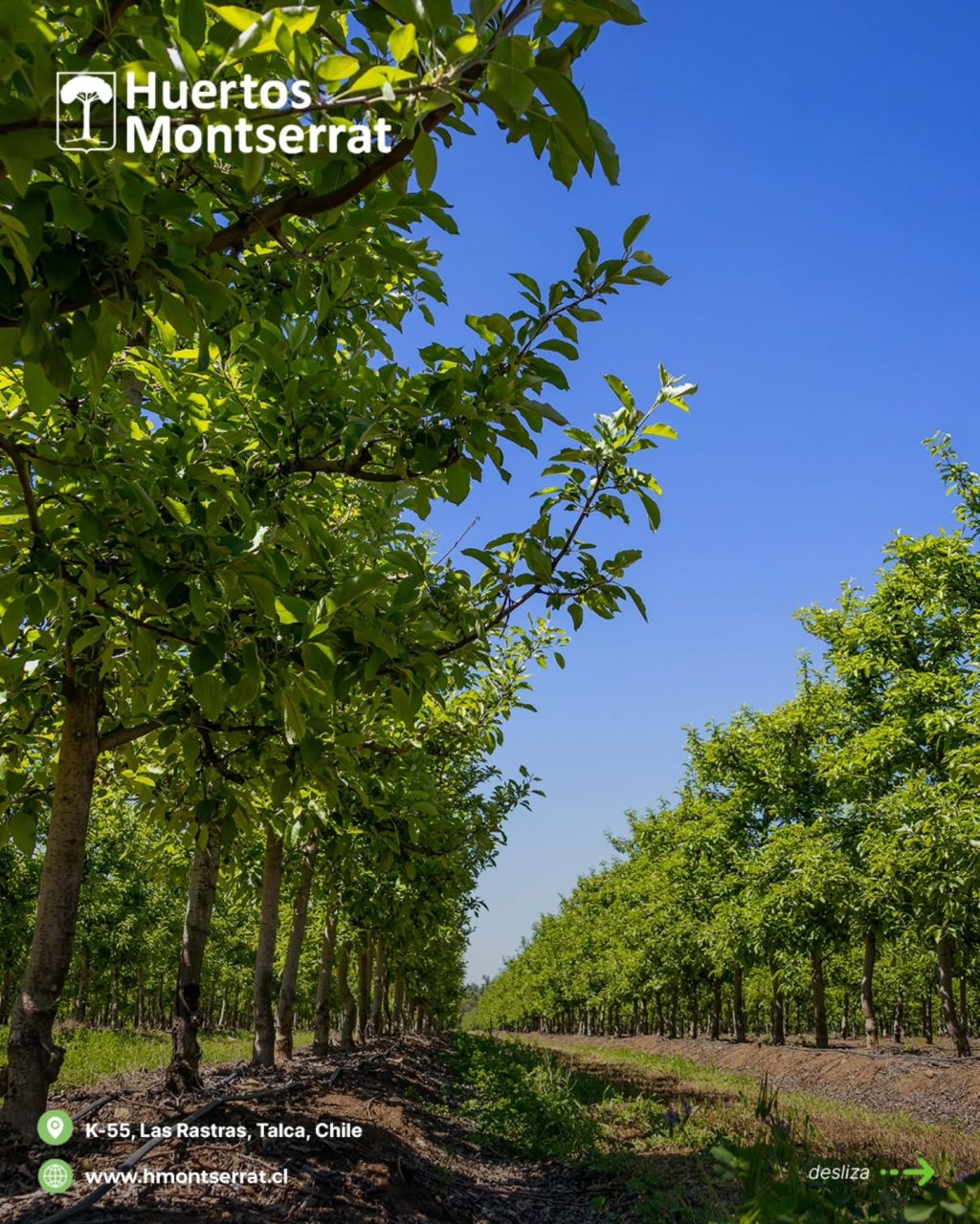 Instagram post from huertos_montserrat. This post is in position 1.