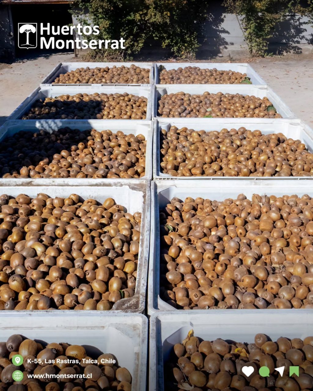 Instagram post from huertos_montserrat. This post is in position 2.