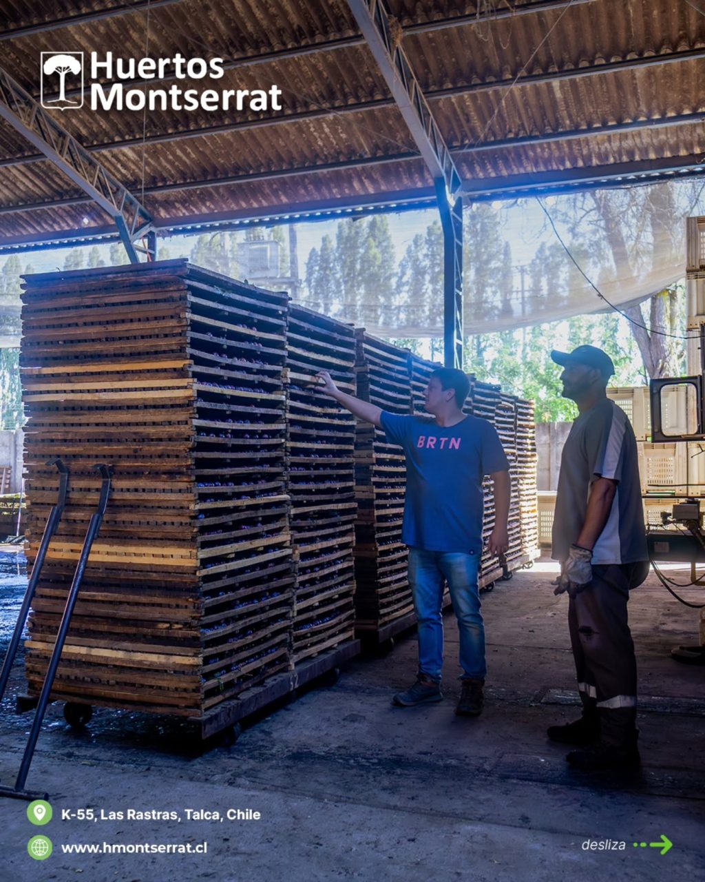 Instagram post from huertos_montserrat. This post is in position 1.