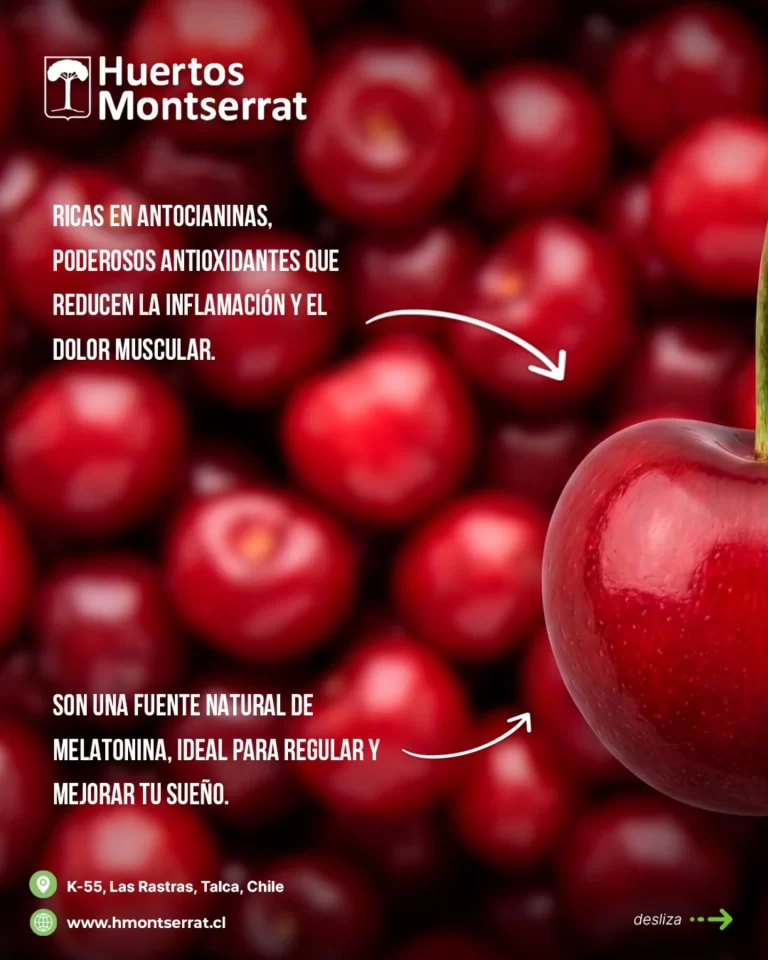 Instagram post from huertos_montserrat. This post is in position 1.